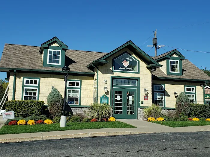 Chelmsford Animal Hospital 2
