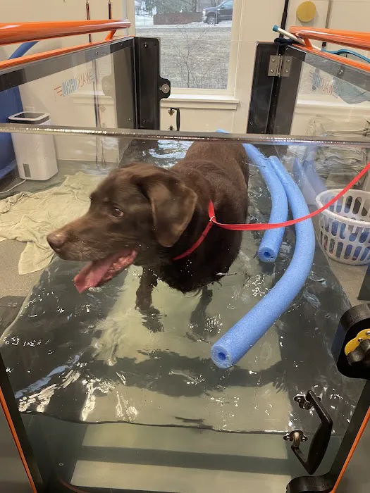NH Pet Physical Rehabilitation Center 5