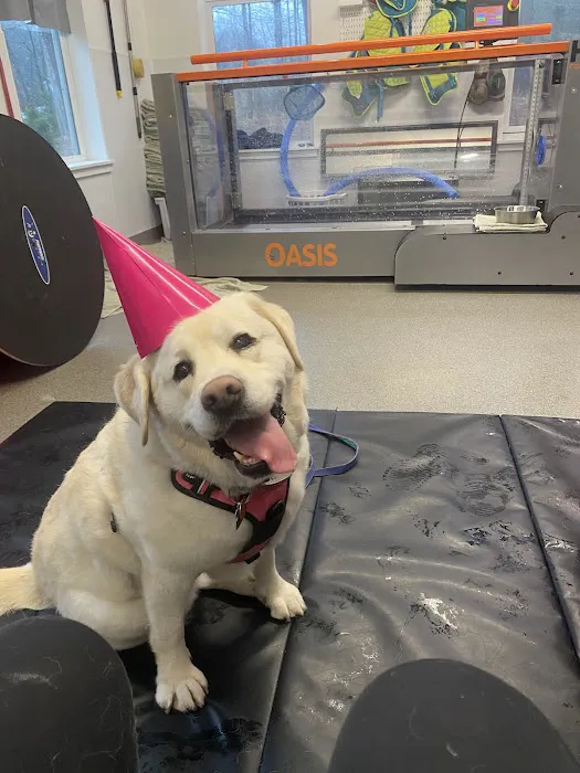 NH Pet Physical Rehabilitation Center 2