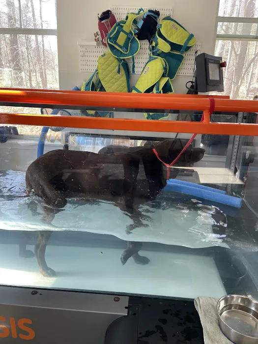 NH Pet Physical Rehabilitation Center 3