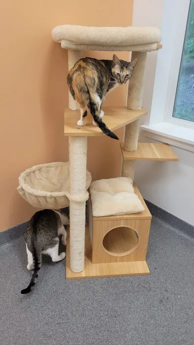 Lowell Road Veterinary Center 4