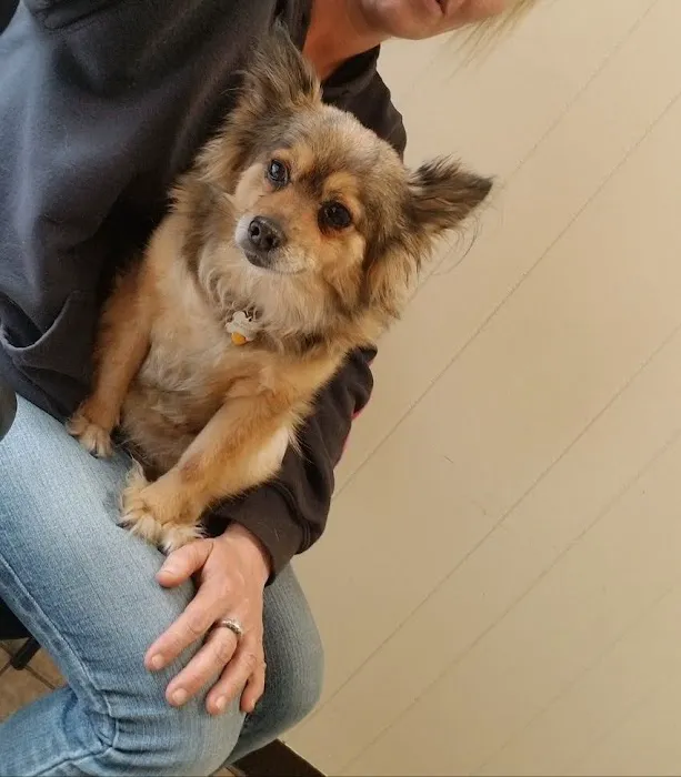 Lowell Road Veterinary Center 3