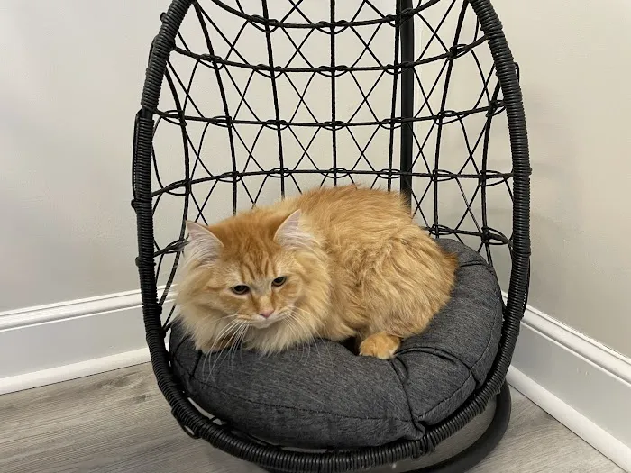 Hudson Veterinary Care 7