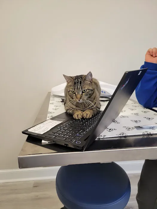 Hudson Veterinary Care 1