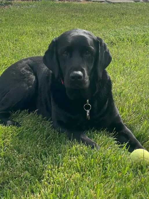 Hudson Veterinary Care 4