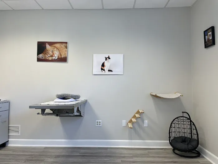 Hudson Veterinary Care 6