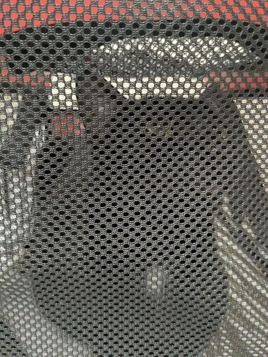 The Cat Doctor 5