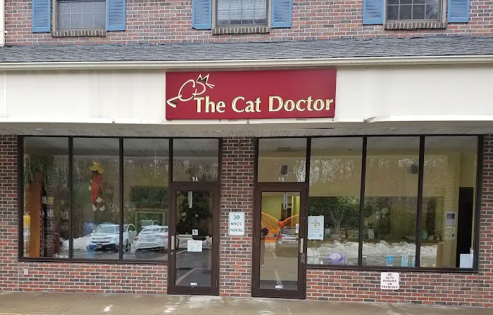 The Cat Doctor 3