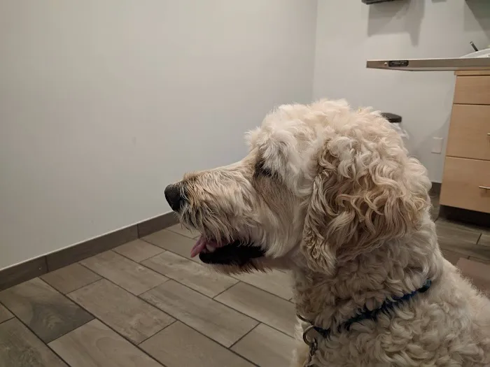 Lexington-Bedford Veterinary Hospital 5