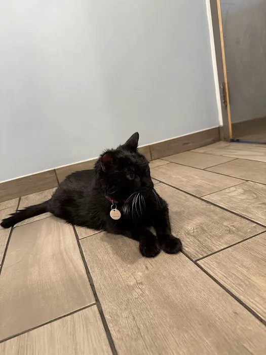 Lexington-Bedford Veterinary Hospital 4