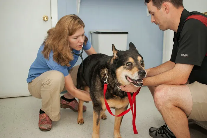 Lexington-Bedford Veterinary Hospital 10