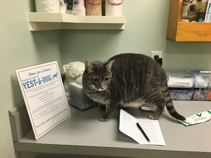 Billerica Veterinary Hospital 9
