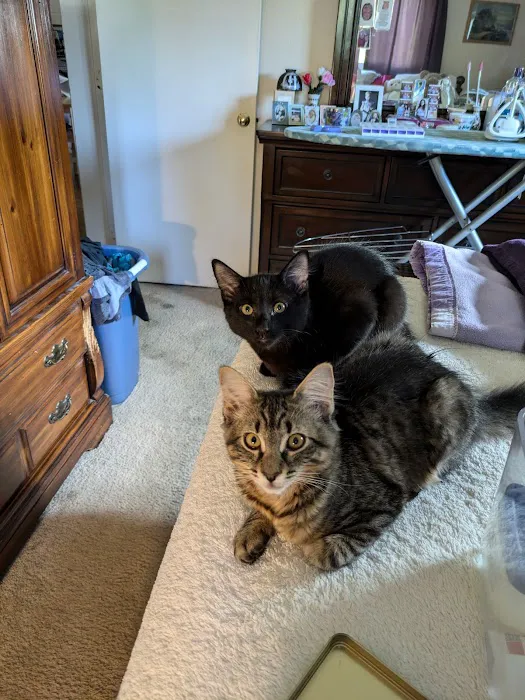 Norton Animal Hospital 4