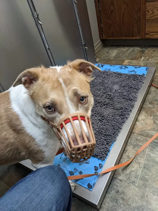 Norton Animal Hospital 8