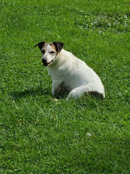 Norton Animal Hospital 6