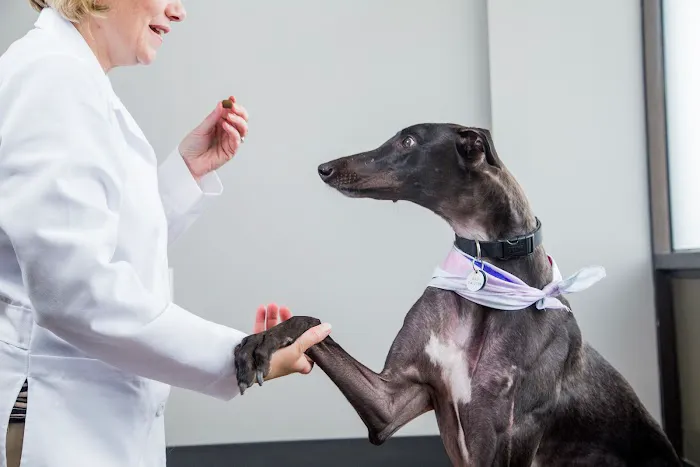 Veterinary Services of Westwood 3