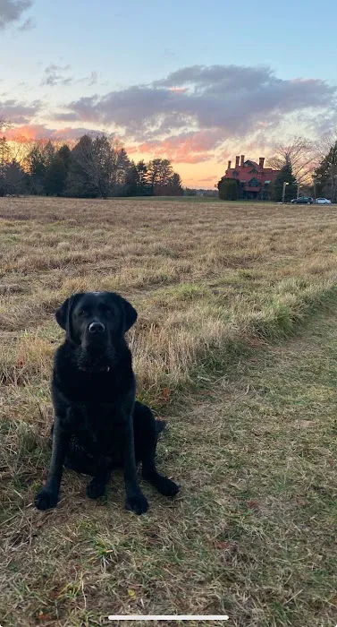 Veterinary Urgent Care Center - Dedham 6