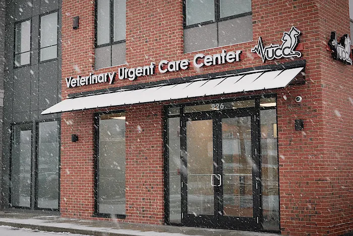 Veterinary Urgent Care Center - Dedham 10
