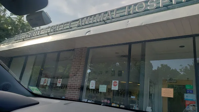 Chestnut Street Animal Hospital 8