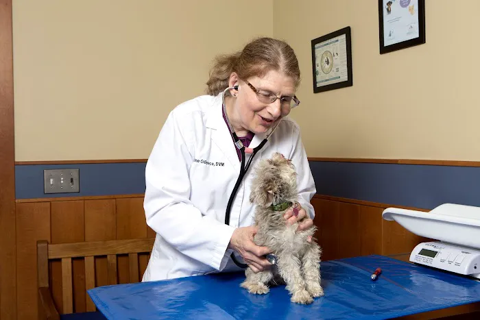 Dedham Veterinary Associates 3