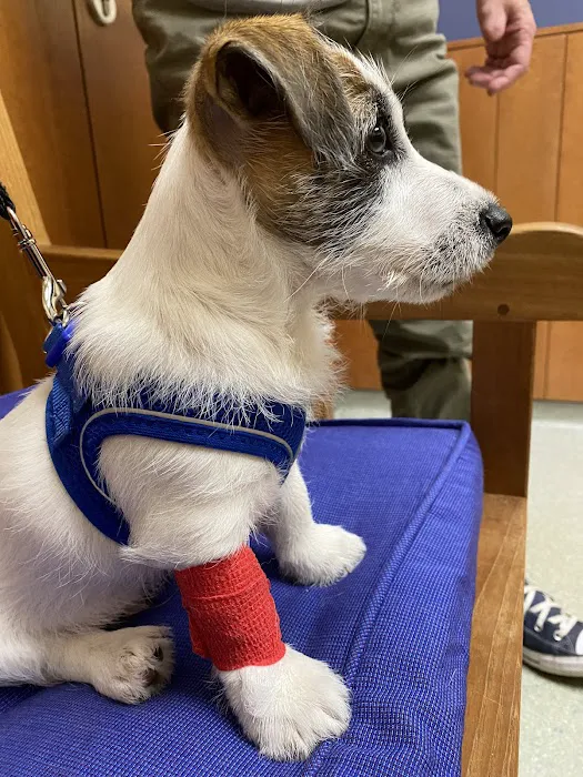 Dedham Veterinary Associates 7