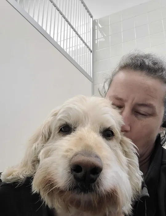 Dedham Veterinary Associates 1