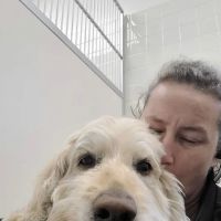 Dedham Veterinary Associates ico