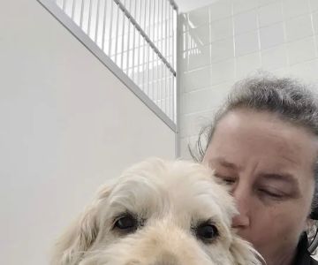 Dedham Veterinary Associates