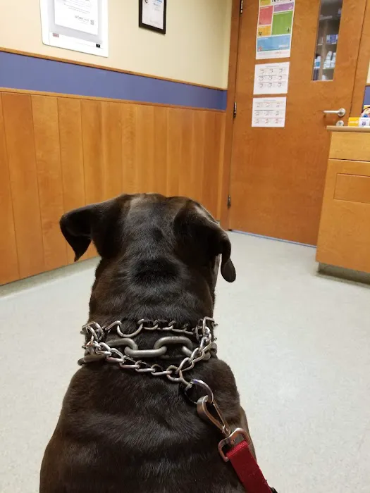 Dedham Veterinary Associates 8
