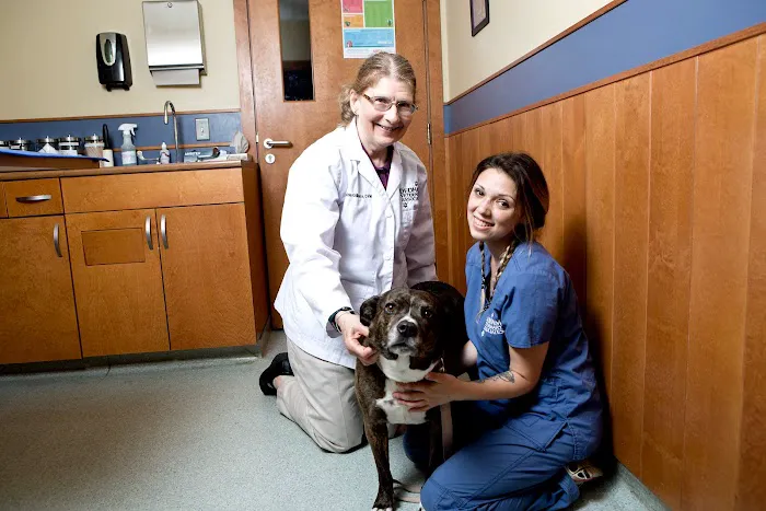 Dedham Veterinary Associates 10