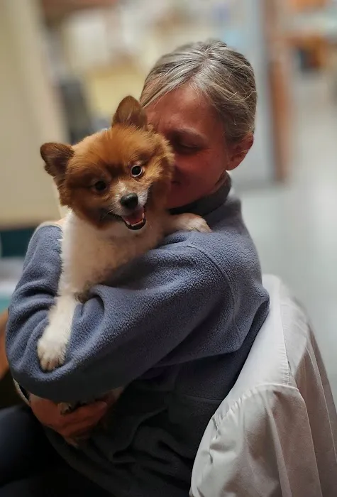 Boston Veterinary Specialists 5