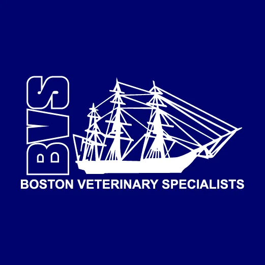 Boston Veterinary Specialists 6