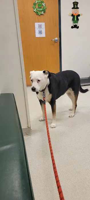 Canton Veterinary Hospital 6