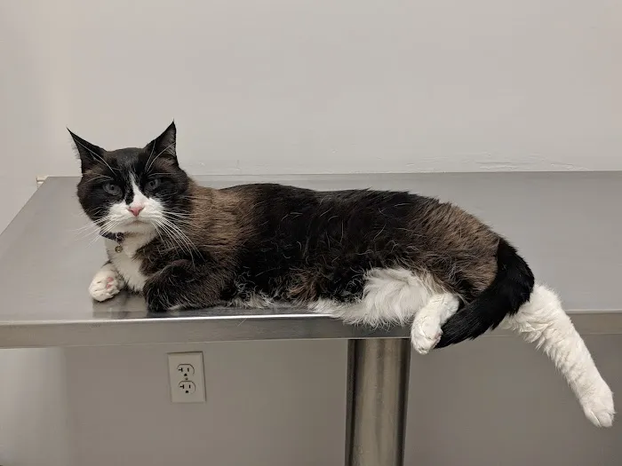 Canton Veterinary Hospital 5