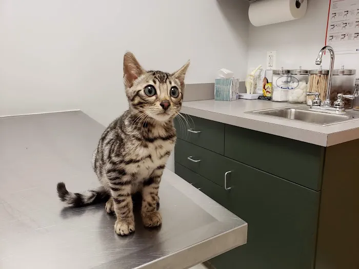 Canton Veterinary Hospital 9