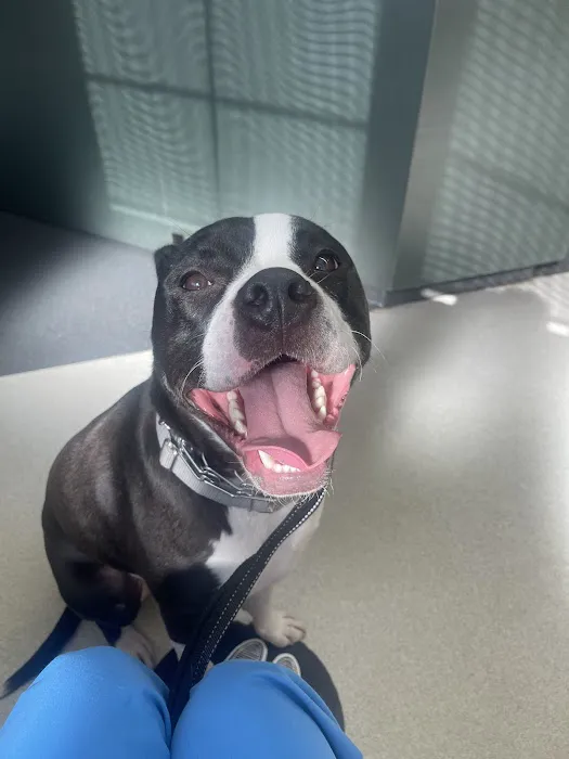 Canton Veterinary Hospital 1