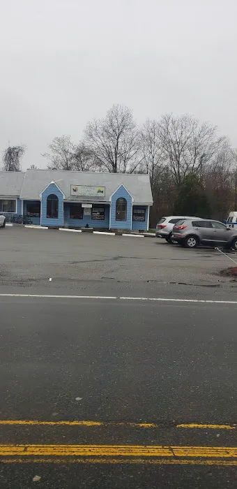 Lainer Animal Hospital of Canton 1