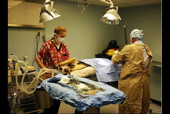Mansfield Veterinary Health Center 10