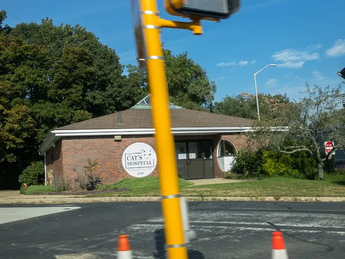 The Cat's Hospital, LLC 2