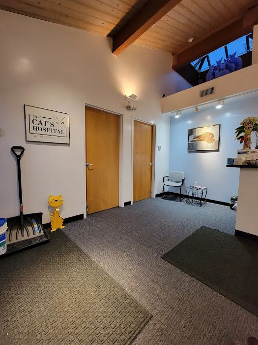 The Cat's Hospital, LLC 3