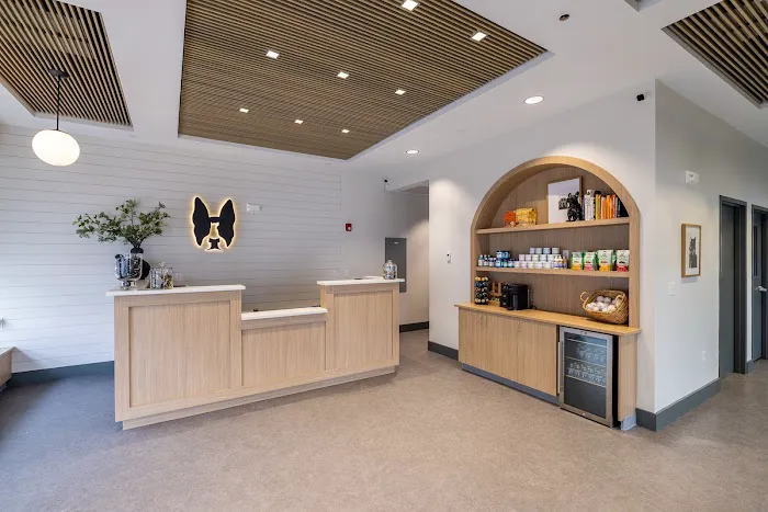 Boston Veterinary Clinic 1