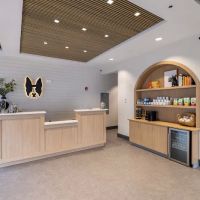 Boston Veterinary Clinic ico