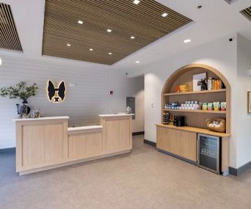 Boston Veterinary Clinic
