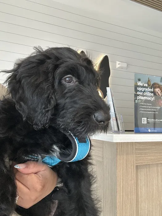 Boston Veterinary Clinic 6