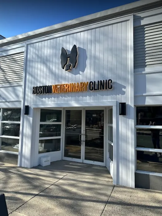 Boston Veterinary Clinic 8