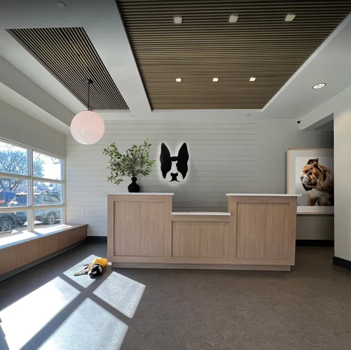 Boston Veterinary Clinic 10