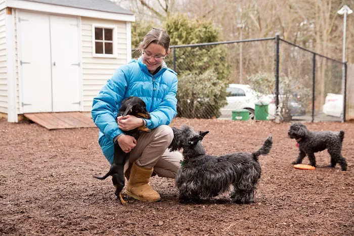 Highland Animal Hospital 5