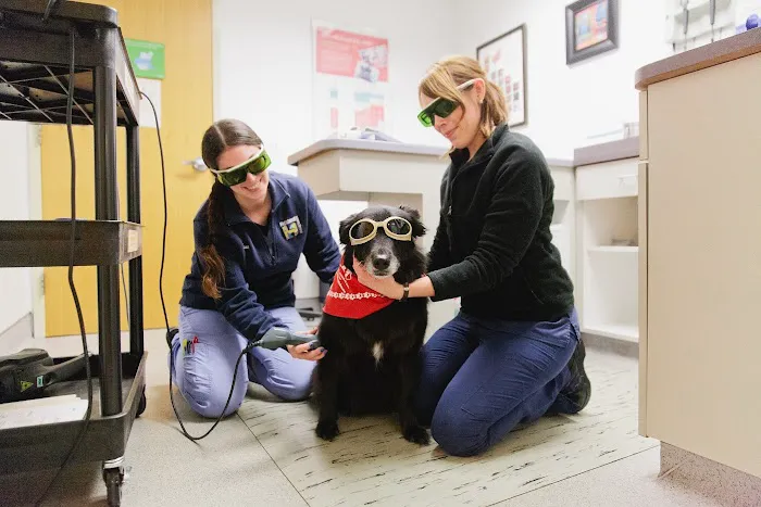 Highland Animal Hospital 3