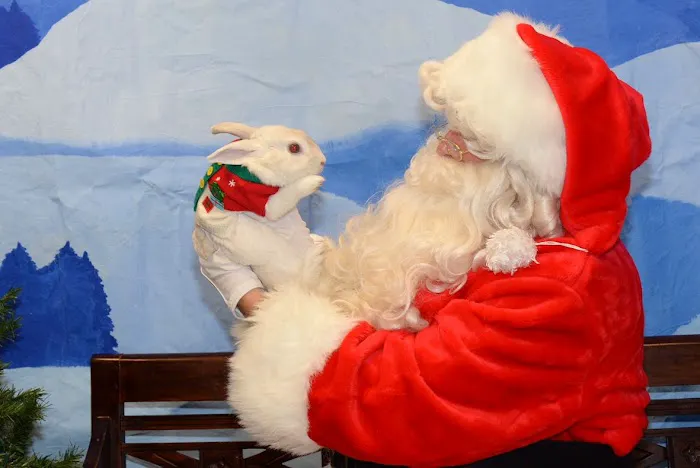 Highland Animal Hospital 2