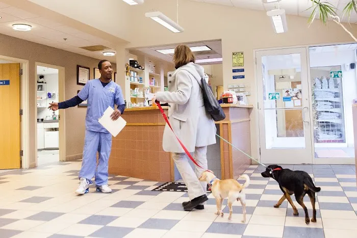 Highland Animal Hospital 7